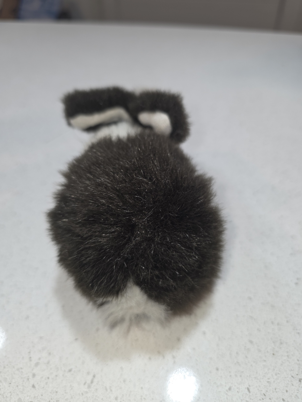 Black and White Small Pet Plush / Toy for Small Pets - Picture 3 of 6